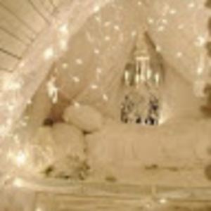 Meet your Posher, Desiree